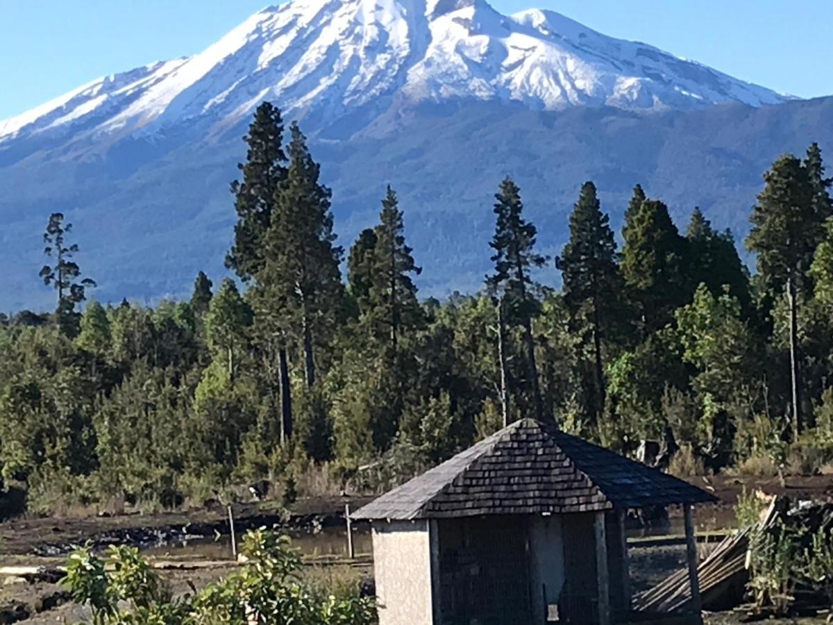 Parque La Pajarera