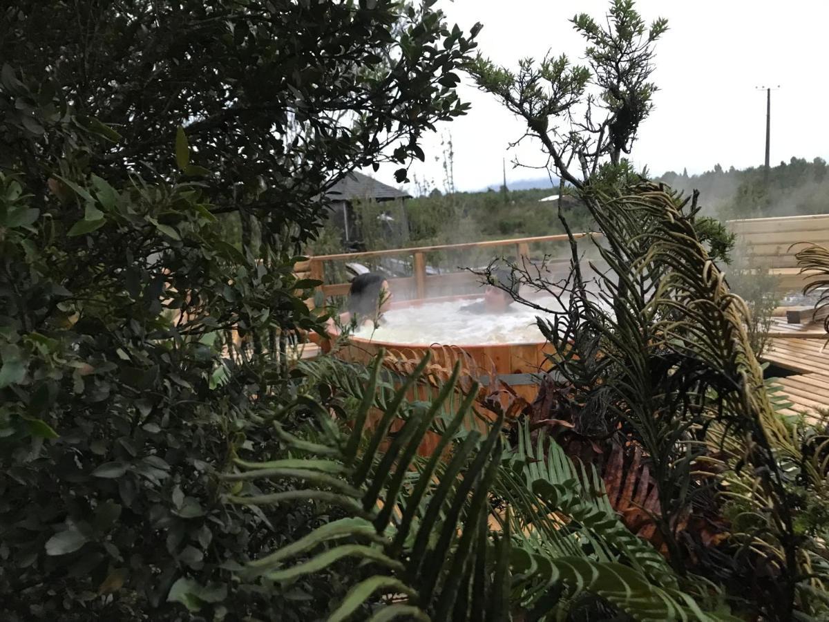 Parque La Pajarera *