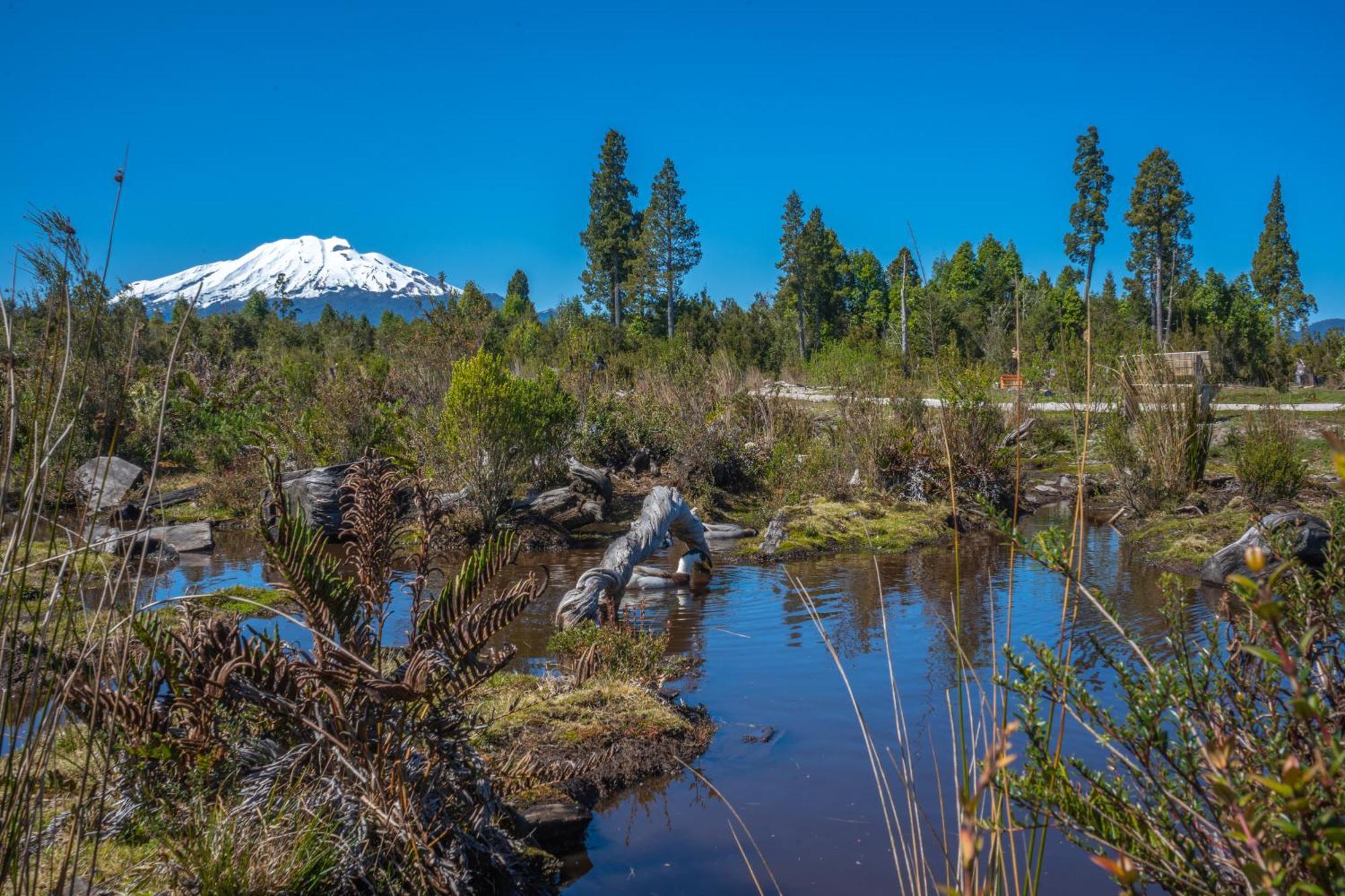 Parque La Pajarera * Puerto Varas